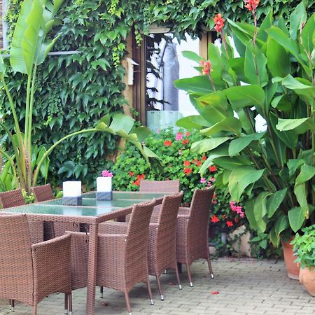 Gaestehaus Koen - Fewo Farfalle Zeltingen-Rachtig Εξωτερικό φωτογραφία
